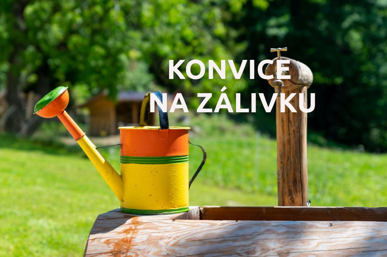 KONVICE NA ZÁLIVKU